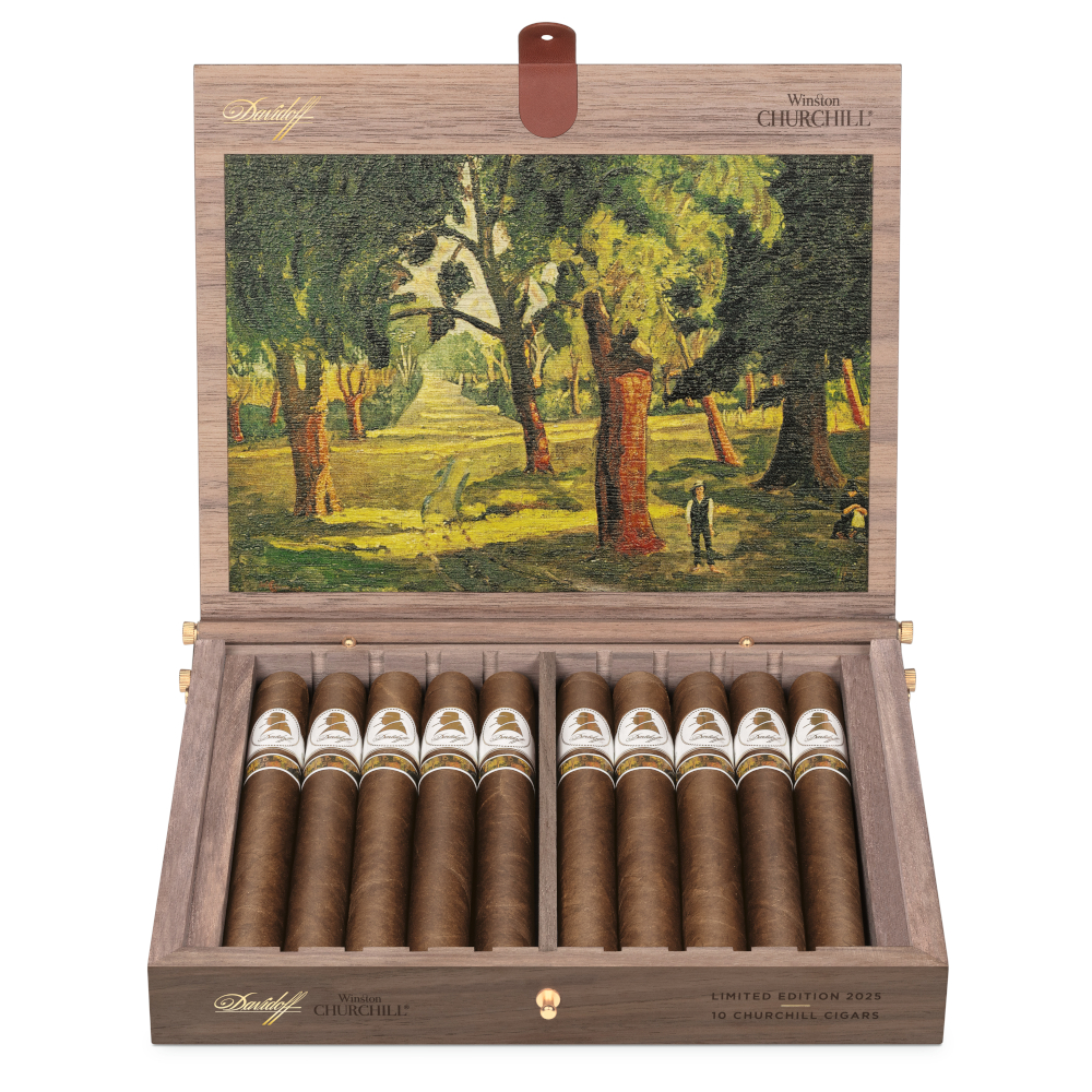 Davidoff WSC The Artist Churchill Lim. Ed. 2025 - Box of 10 Cigars