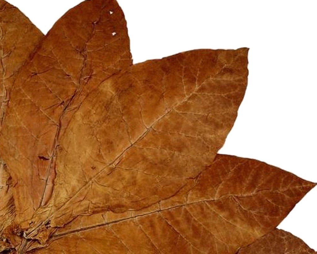 Pipe Tobacco - Samuel Gawith Full Virginia Flake - Tin Of 50g